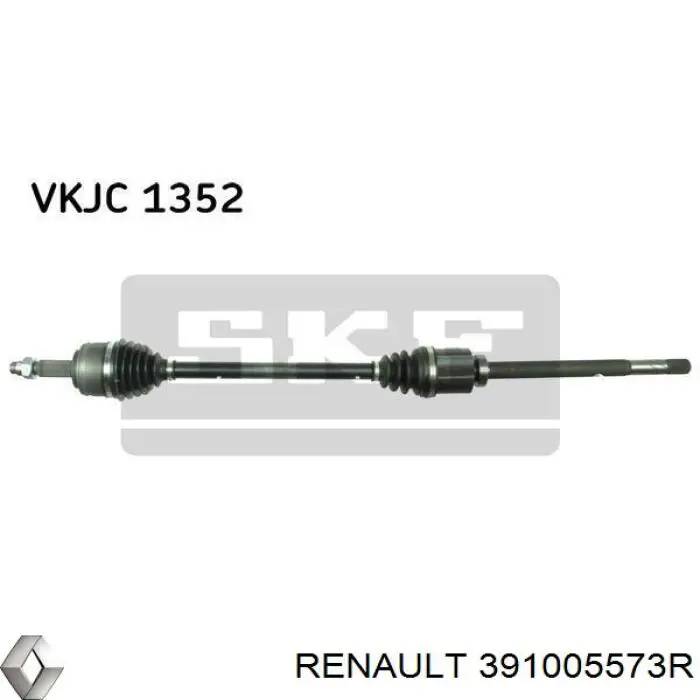 391005573R Renault (RVI) 