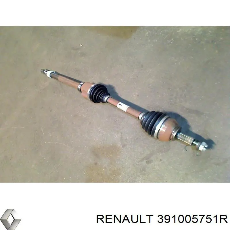  391005751R Renault (RVI)