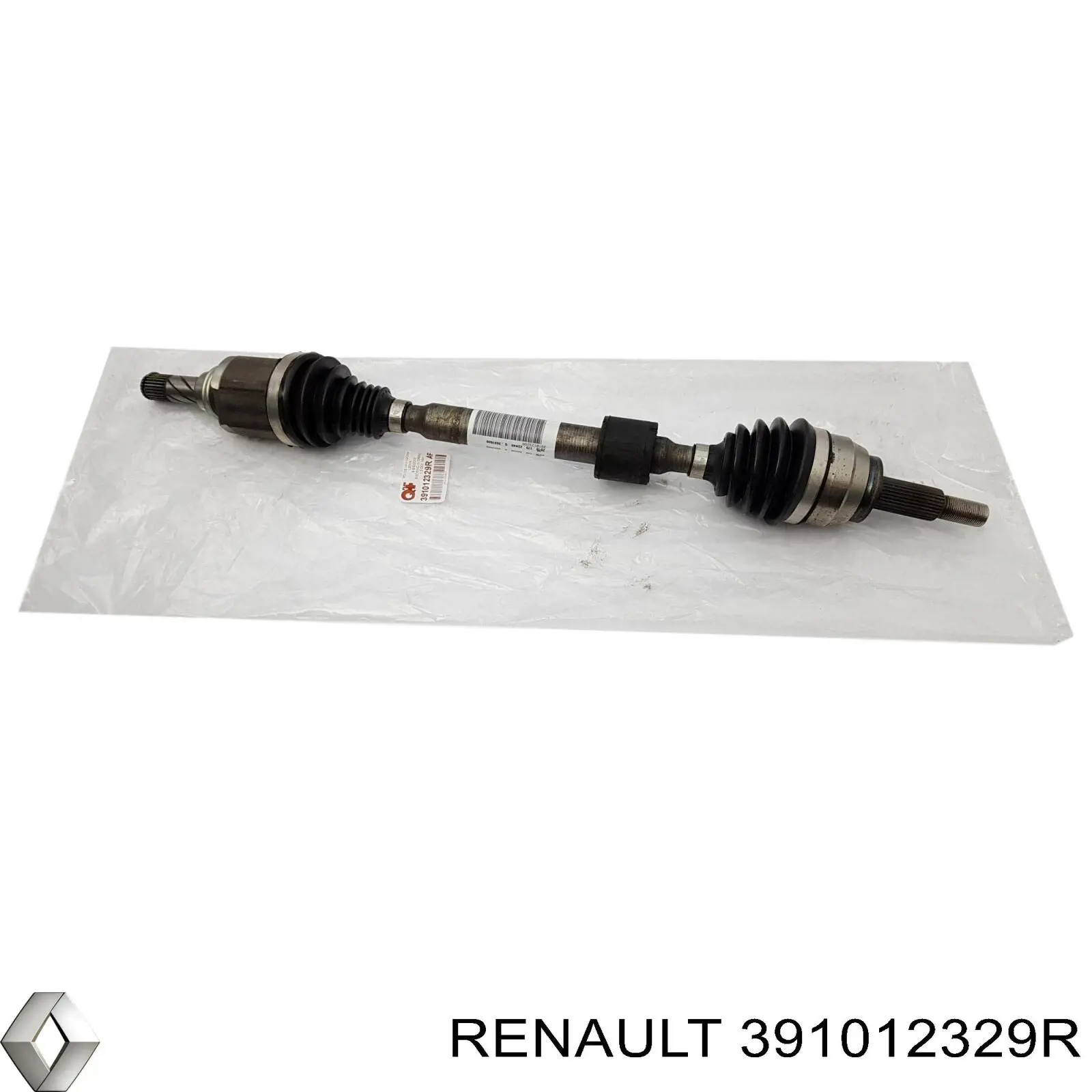 391012329R Renault (RVI)