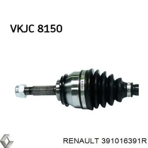 391016391R Renault (RVI)