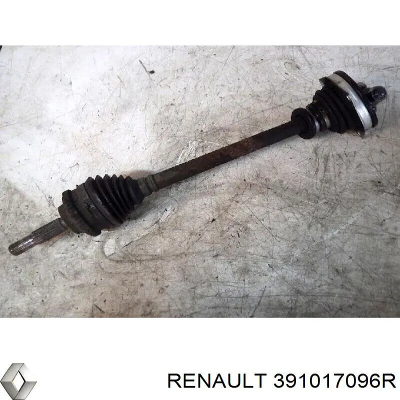 391017096R Renault (RVI)