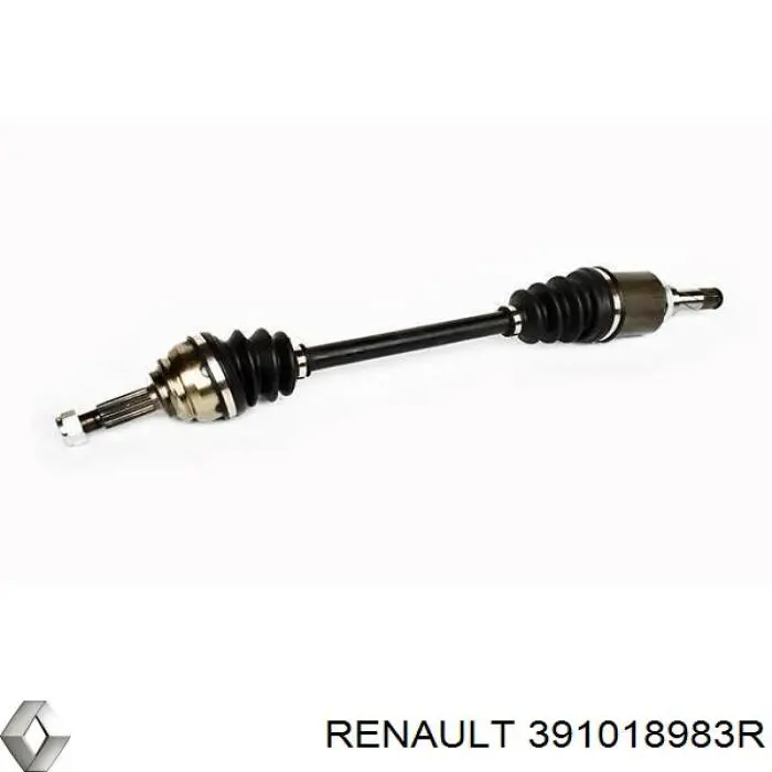 Junta homocinética exterior delantera 391018983R Renault (RVI)