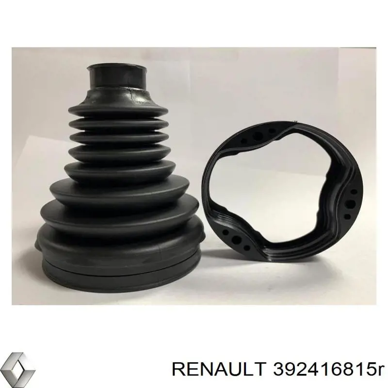 392416815R Renault (RVI)