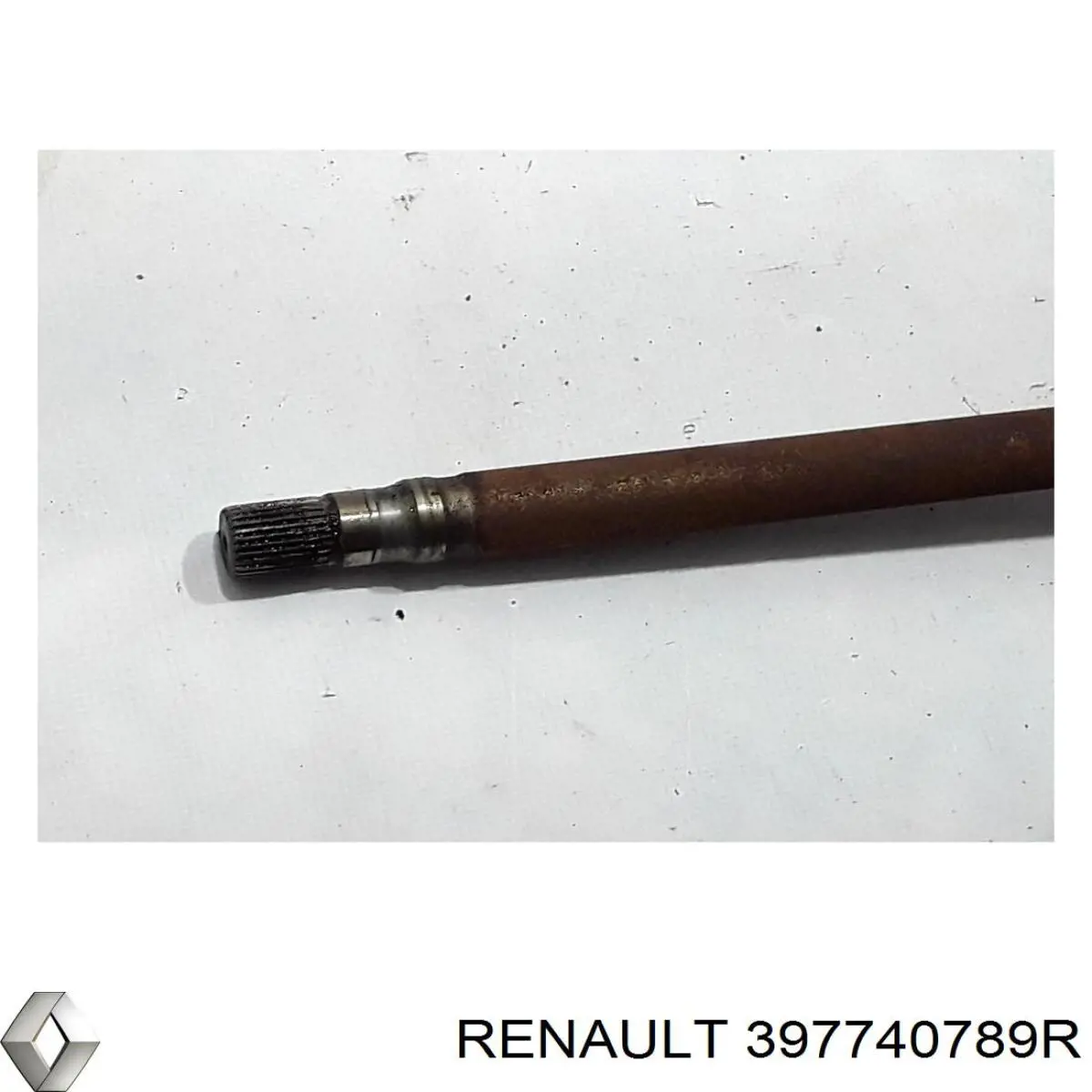  397740789R Renault (RVI)