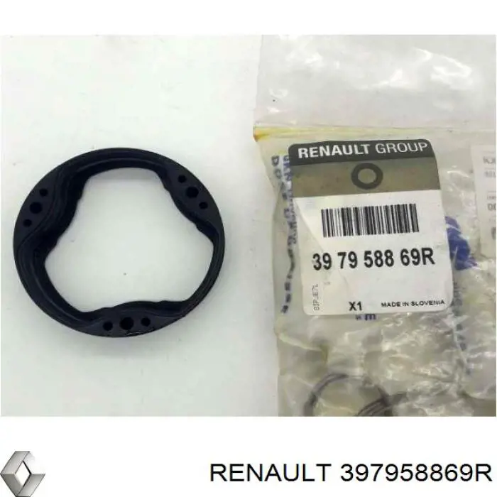 Пыльник ШРУСа задней полуоси внутренний Renault (RVI) 397958869R цена, от 39.49 USD