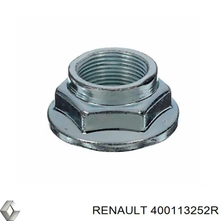 Купить 400113252R Renault (RVI) 