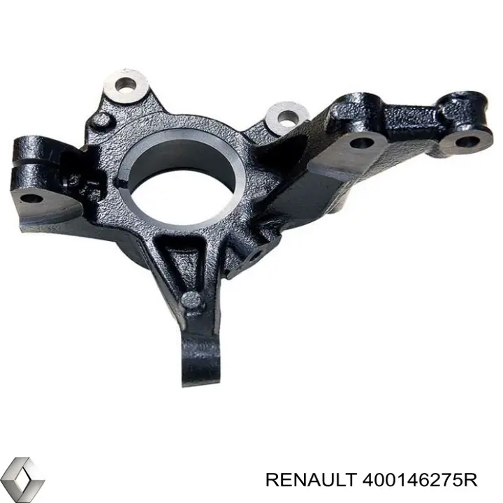 Цапфа (поворотный кулак) передний правый Renault (RVI) 400146275R цена, от 41.84 USD