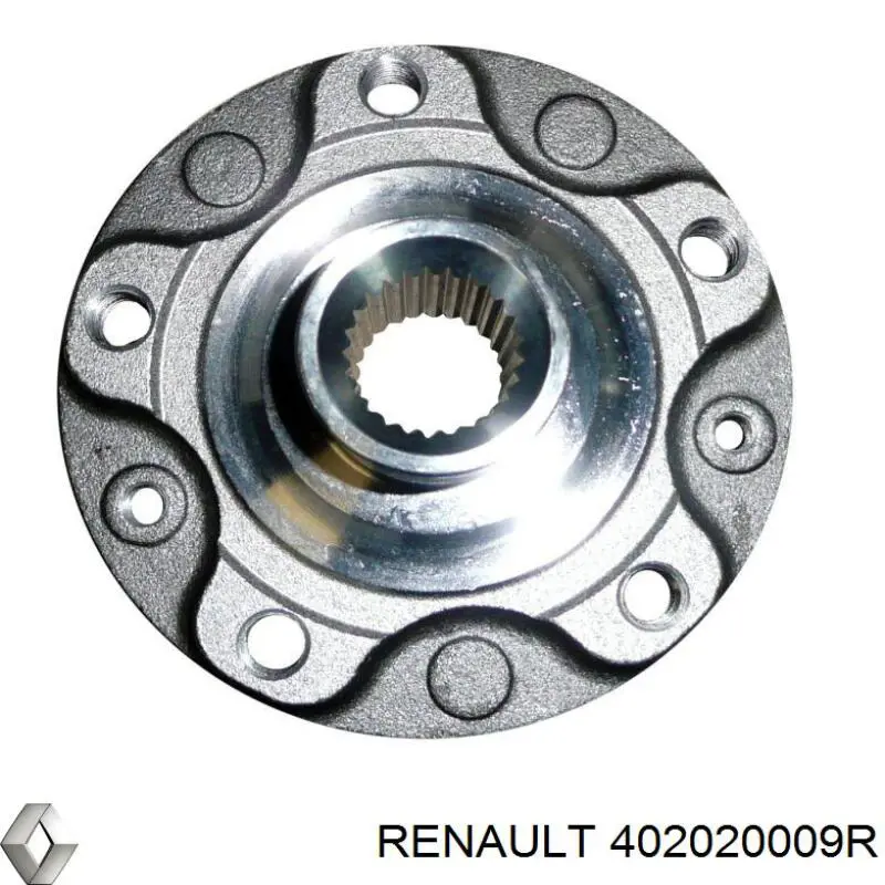 402020009R Renault (RVI)