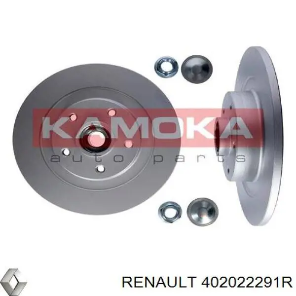 Задний тормозной диск Renault (RVI) 402022291R цена, от 94.75 USD