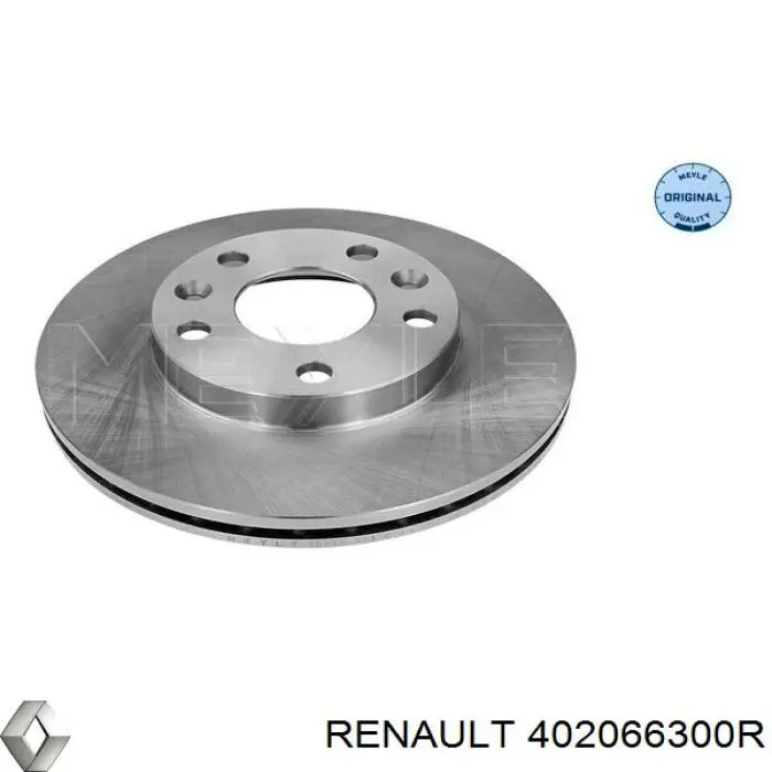 Купить 402066300R Renault (RVI) Ротор тормозной