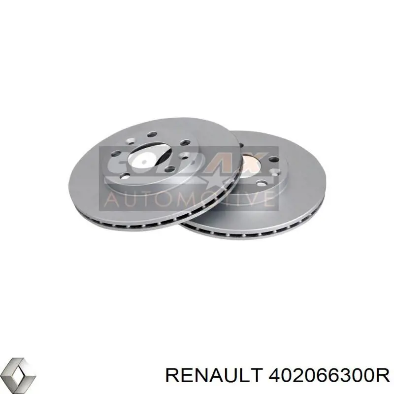 Передние тормозные диски 402066300R Renault (RVI)