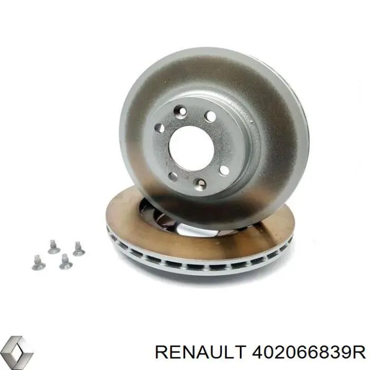 402066839R Renault (RVI)