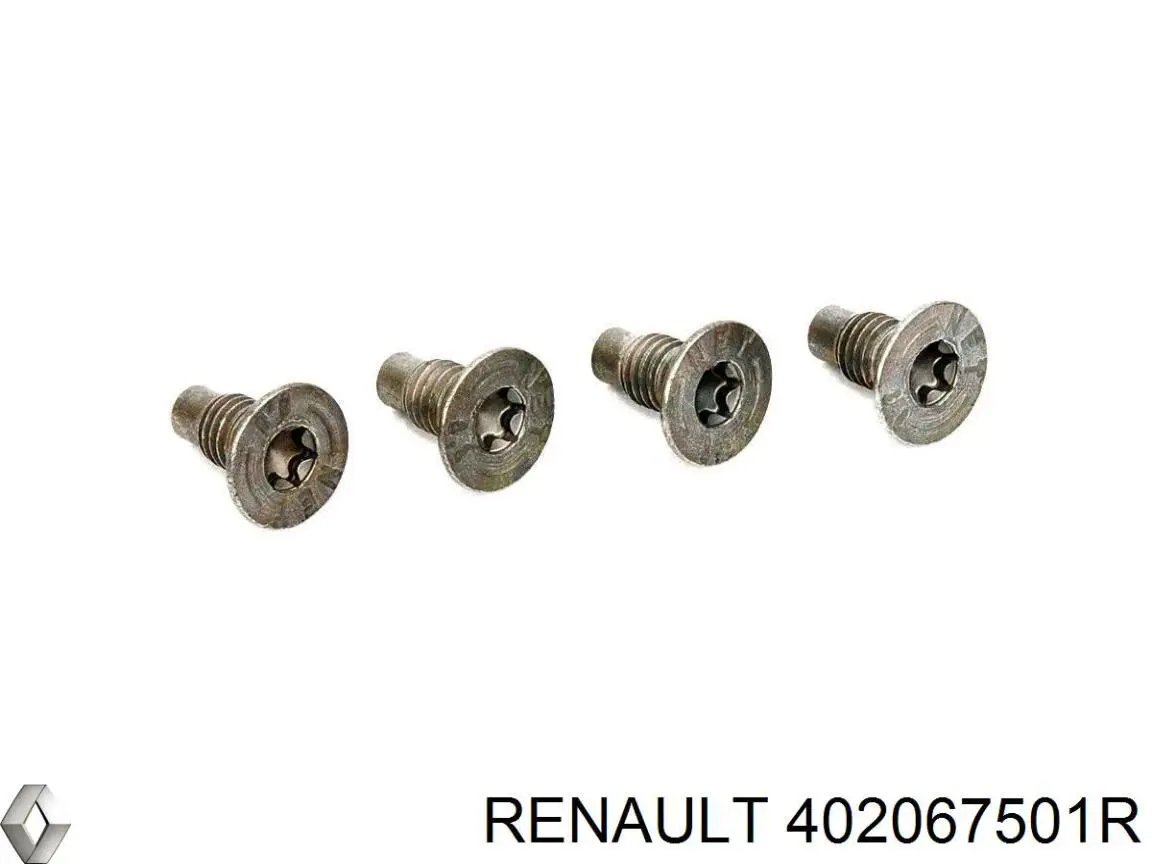 Передние тормозные диски 402067501R Renault (RVI)