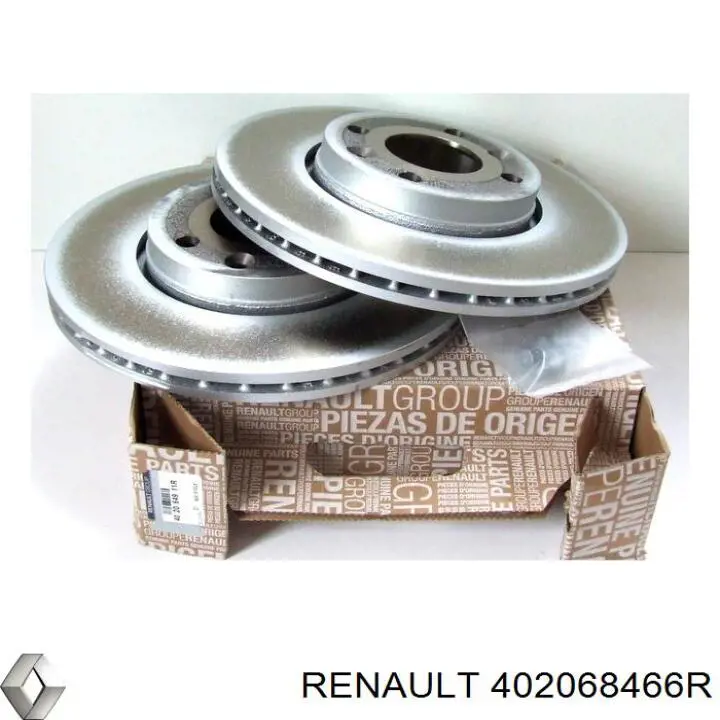  402068466R Renault (RVI)