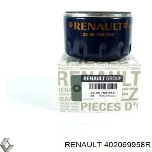 Передние тормозные диски 402069958R Renault (RVI)