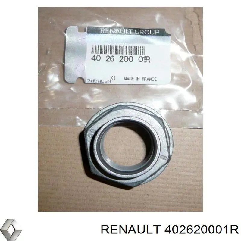 Купить 402620001R Renault (RVI) 