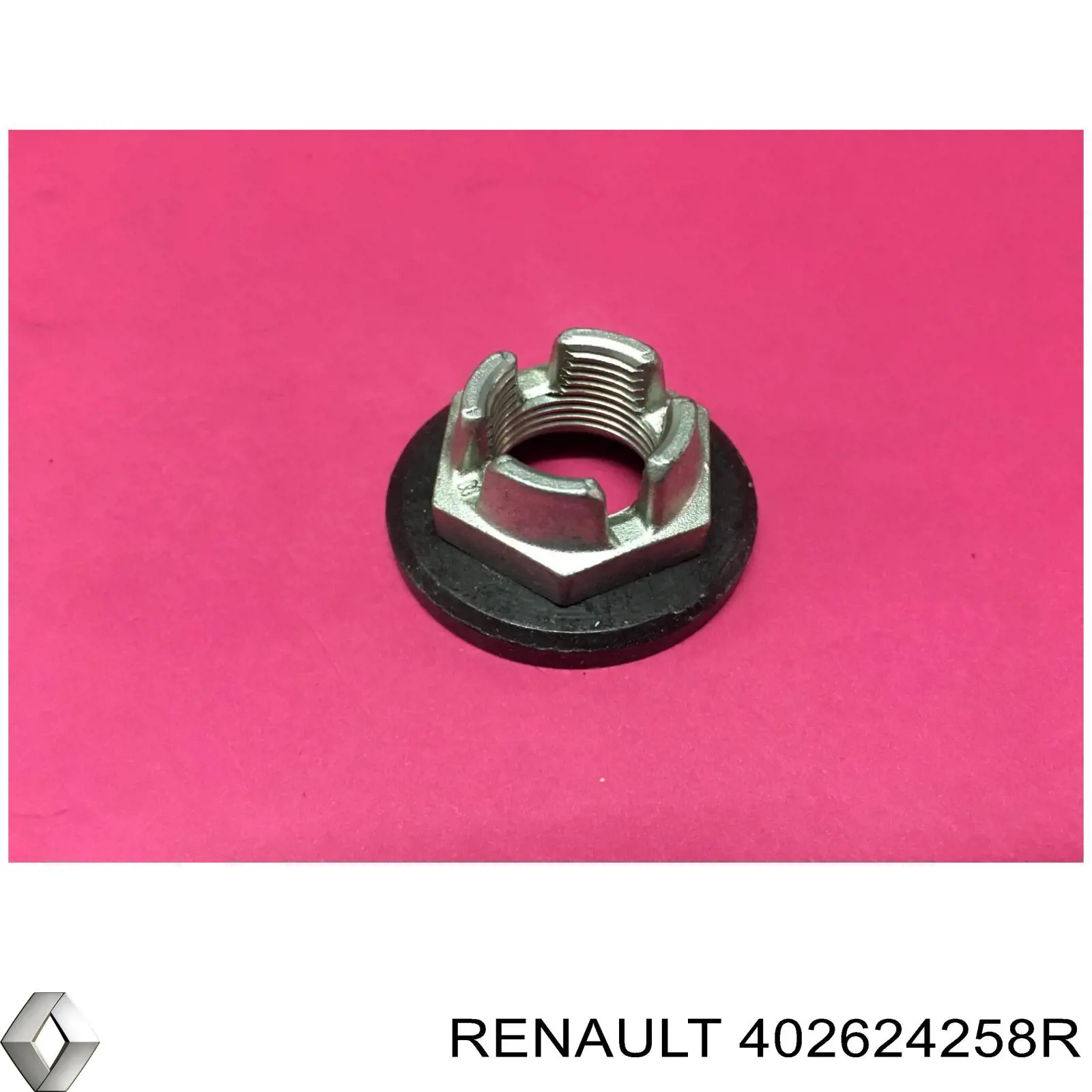 402624258R Renault (RVI) 