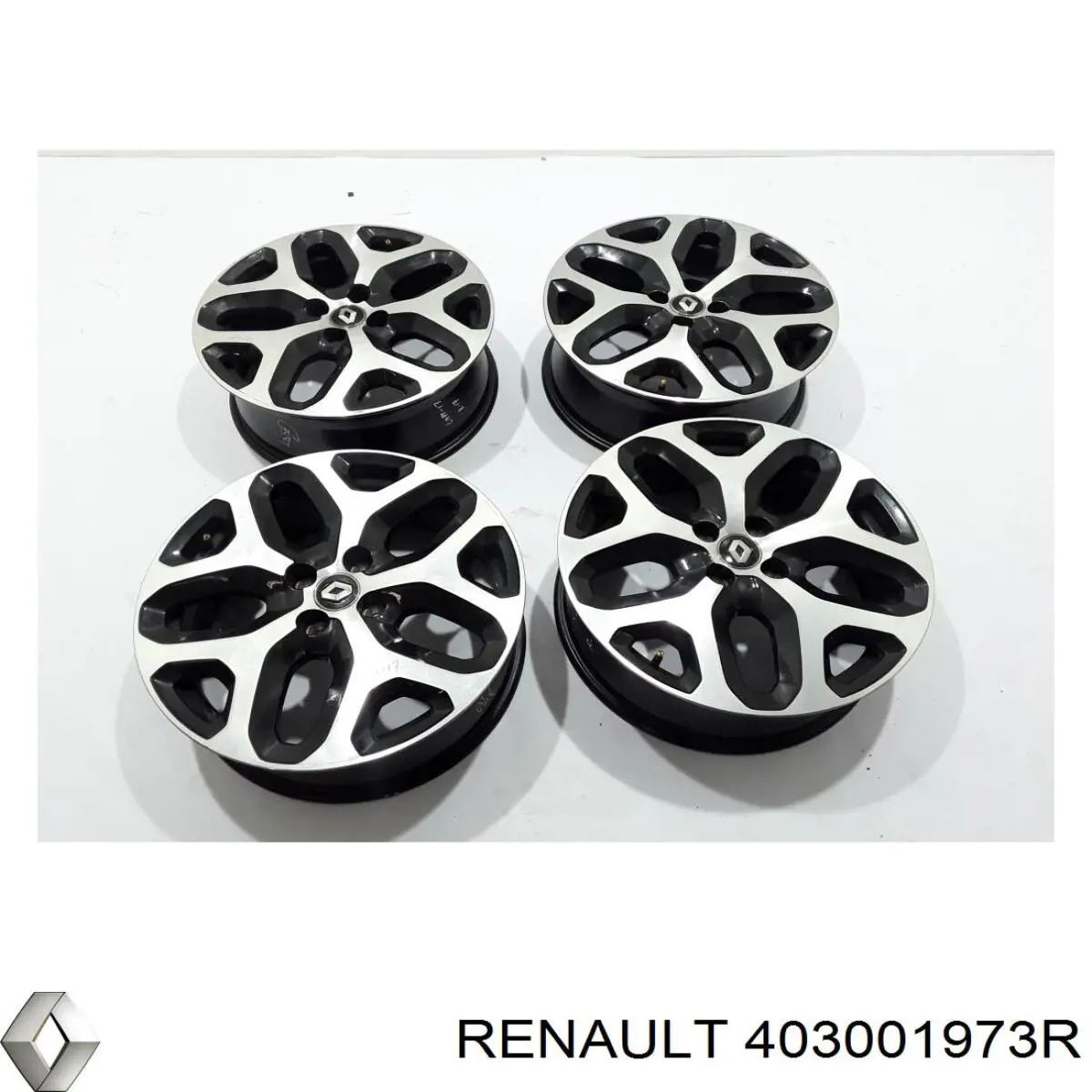 403001973R Renault (RVI) 