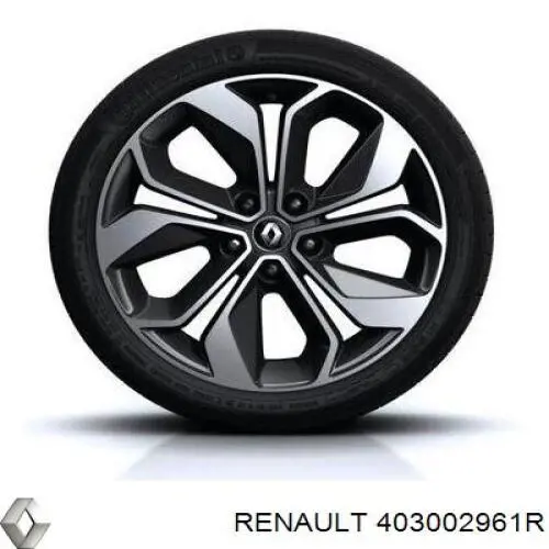 Купить 403002961R Renault (RVI) 
