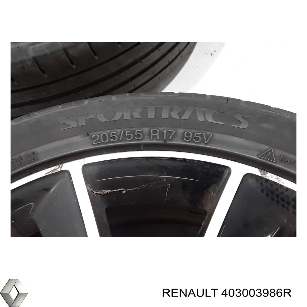  403003986R Renault (RVI)