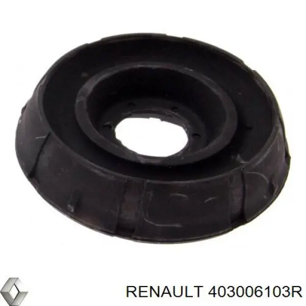  403006103R Renault (RVI)