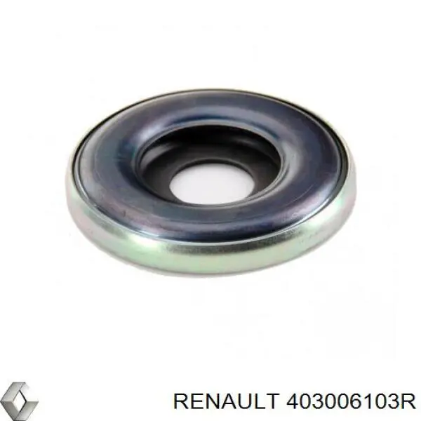 403006103R Renault (RVI) 