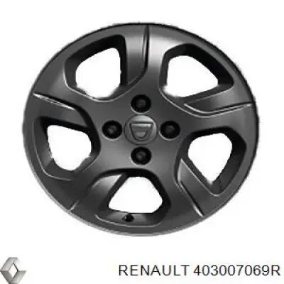 403007069R Renault (RVI) 