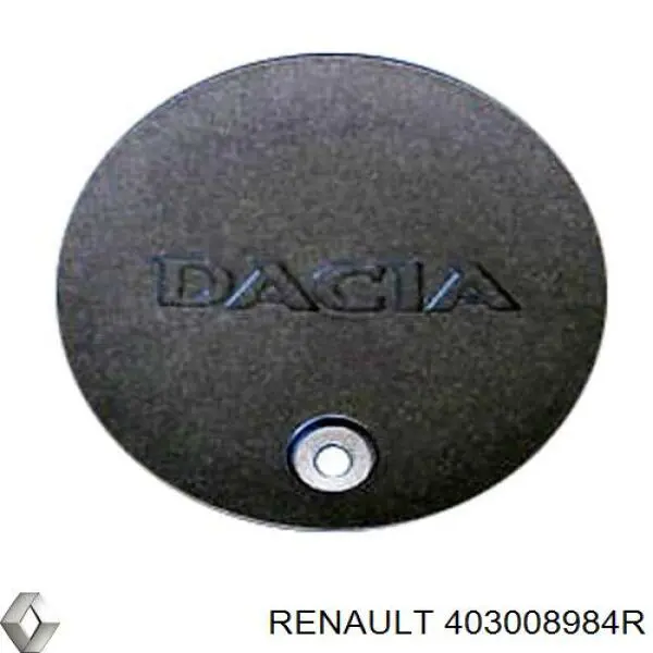 403008984R Renault (RVI) 