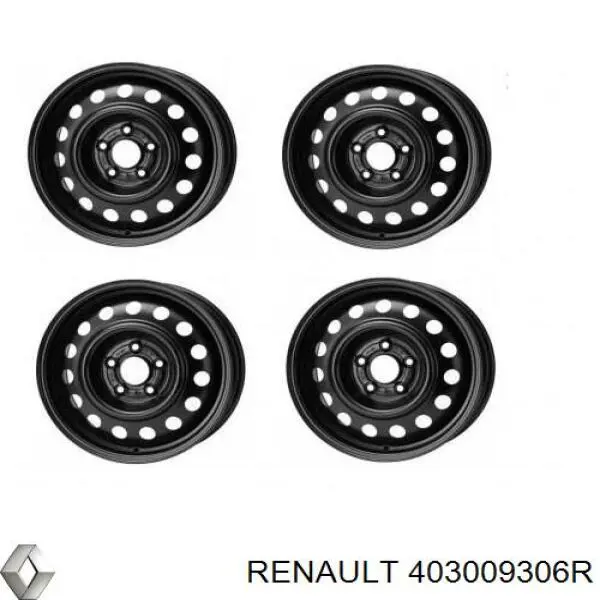 403009306R Renault (RVI)