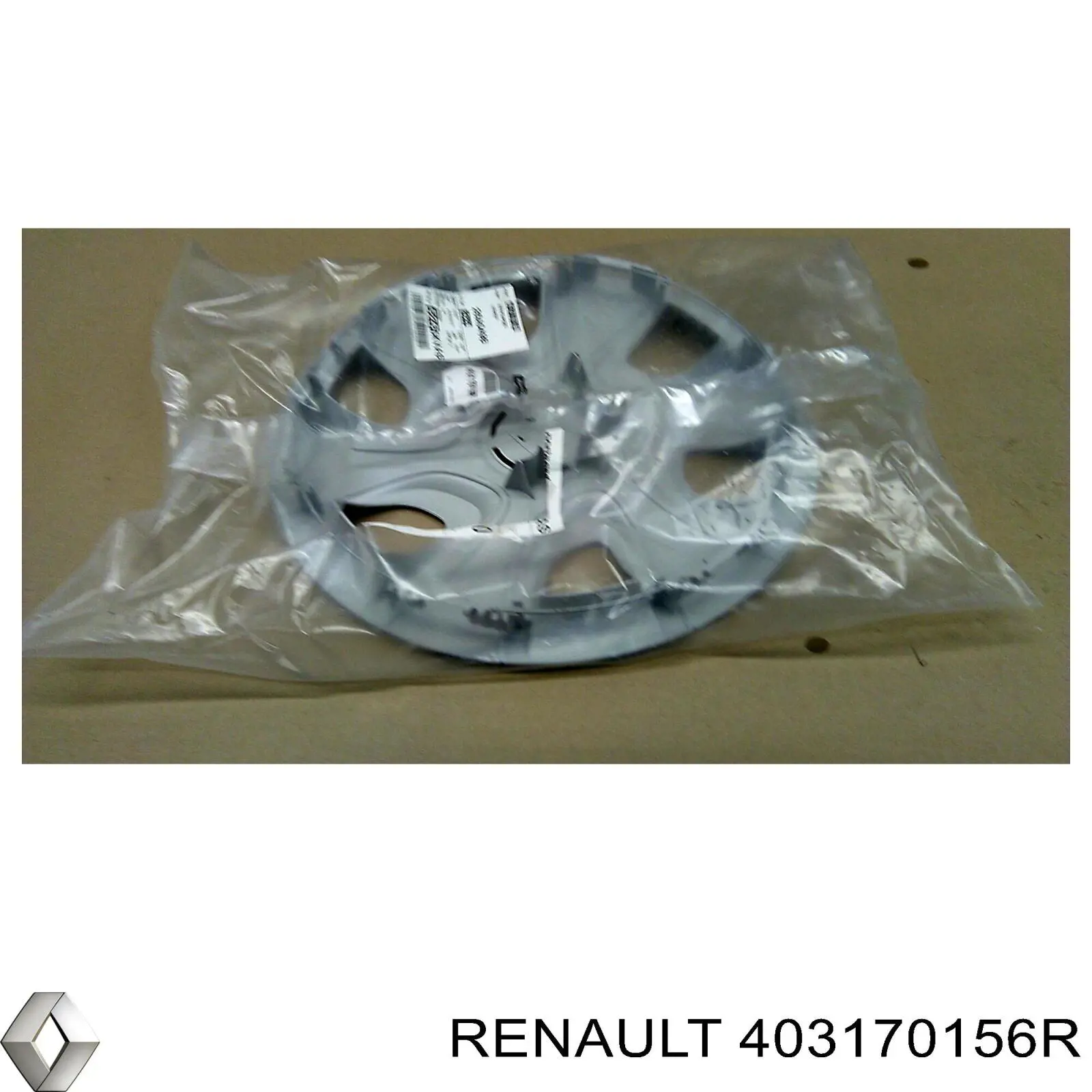 403170156R Renault (RVI) 