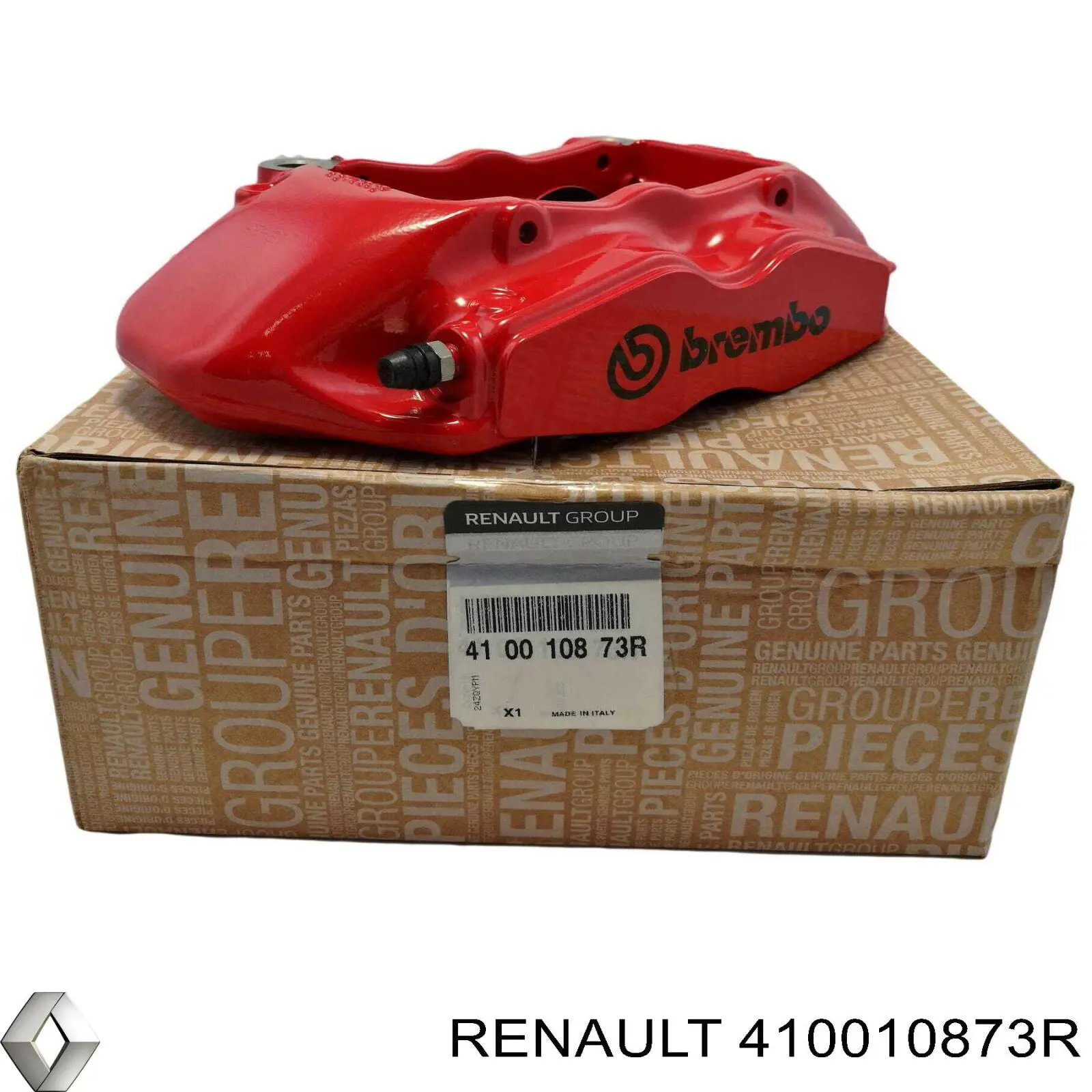  410010873R Renault (RVI)