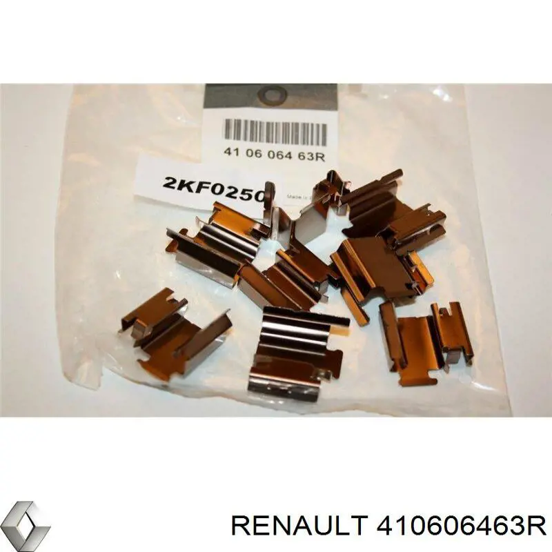 Комплект пружинок крепления дисковых колодок передних Renault (RVI) 410606463R