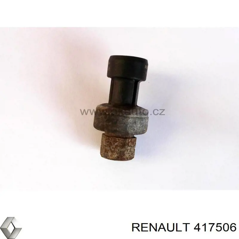 417506 Renault (RVI)