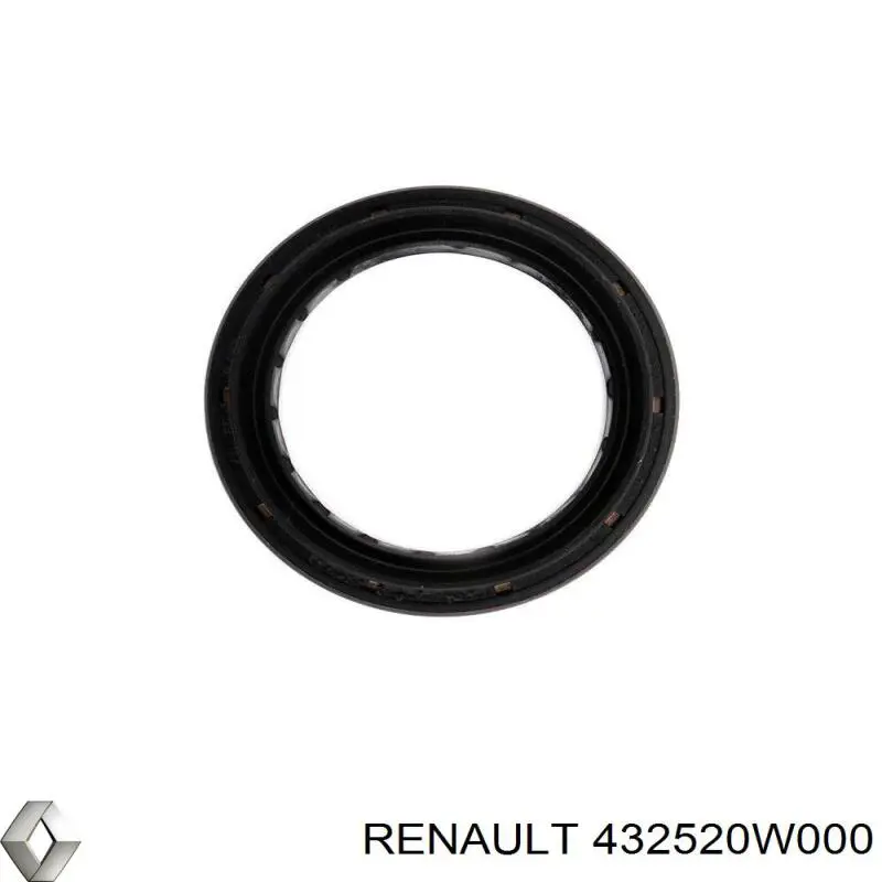  432520W000 Renault (RVI)