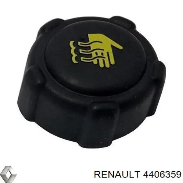 Радиатор охлаждения двигателя Renault (RVI) 4406359 цена, от 111.34 USD