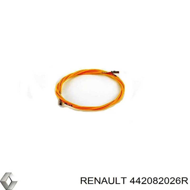 Регулятор заднього барабанного гальма 442082026R Renault (RVI)