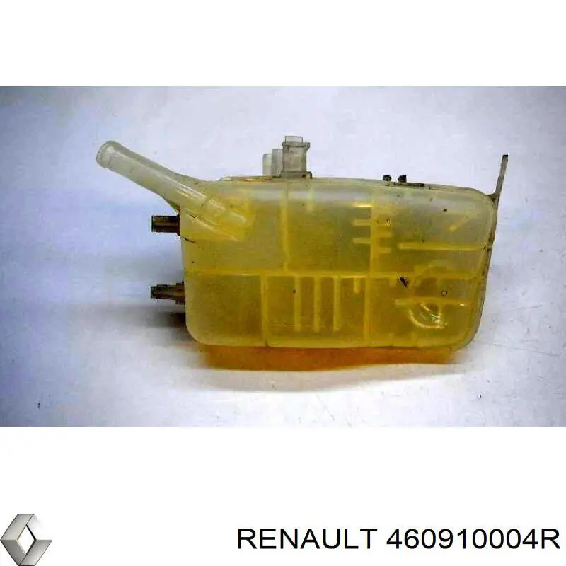  460910004R Renault (RVI)