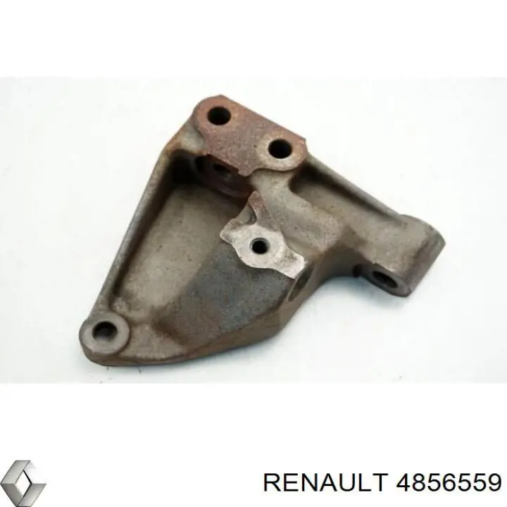 4856559 Renault (RVI) 