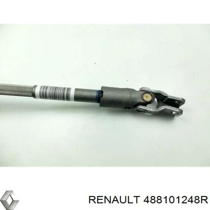  488101248R Renault (RVI)