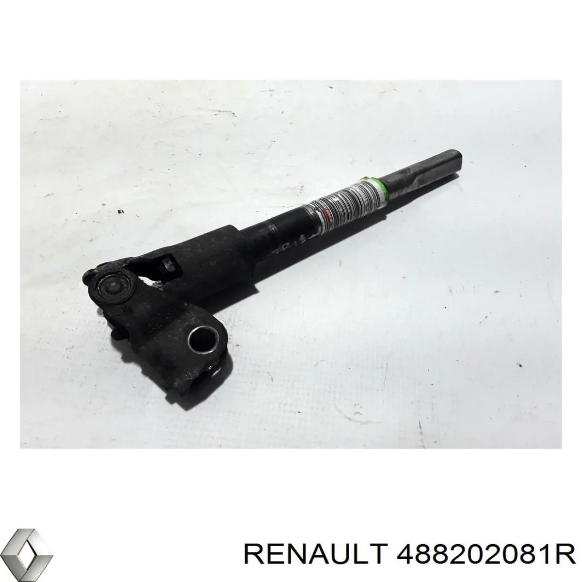 488202081R Renault (RVI)