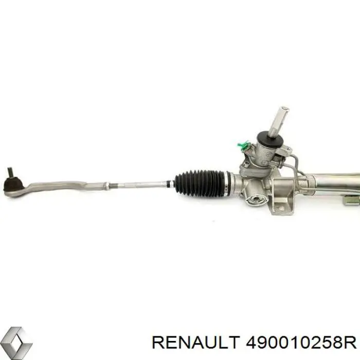  490010258R Renault (RVI)