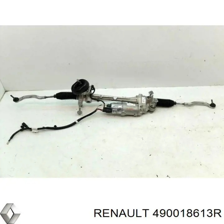  490018613R Renault (RVI)