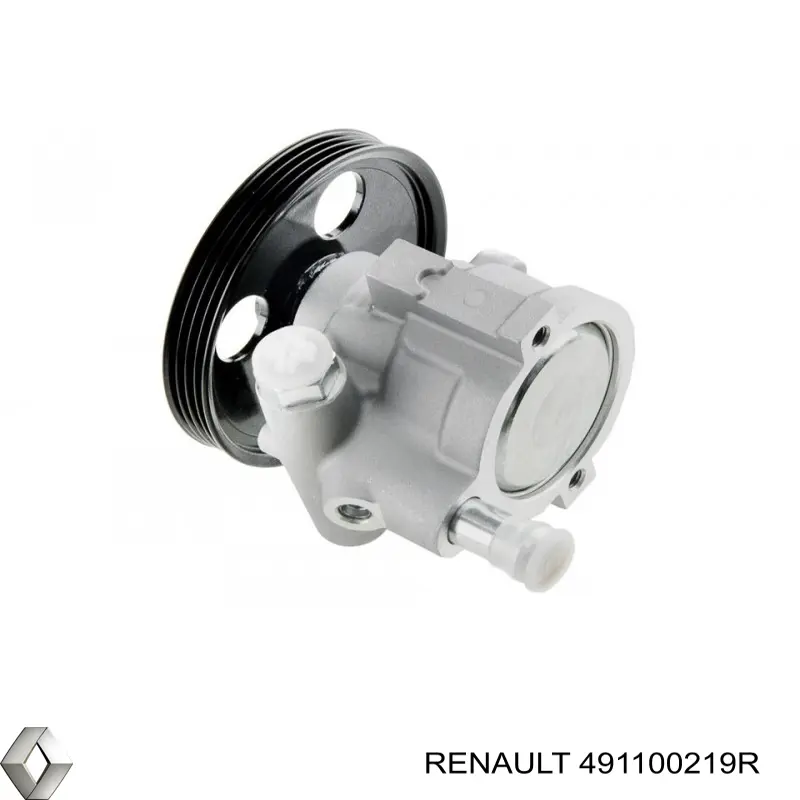 491100219R Renault (RVI)