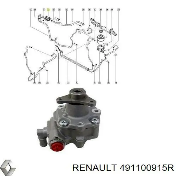 Насос гидроусилителя руля Renault (RVI) 491100915R