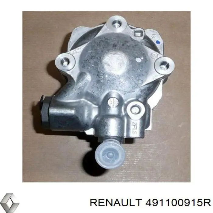 Насос гидроусилителя руля (ГУР) Renault (RVI) 491100915R