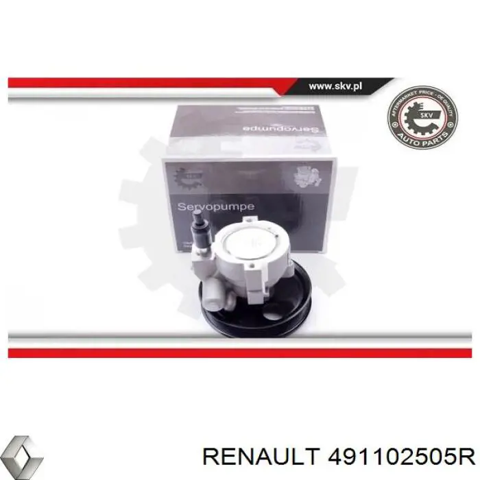 491102505R Renault (RVI)