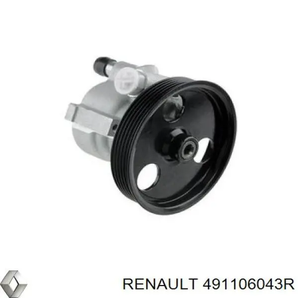 491106043R Renault (RVI) 