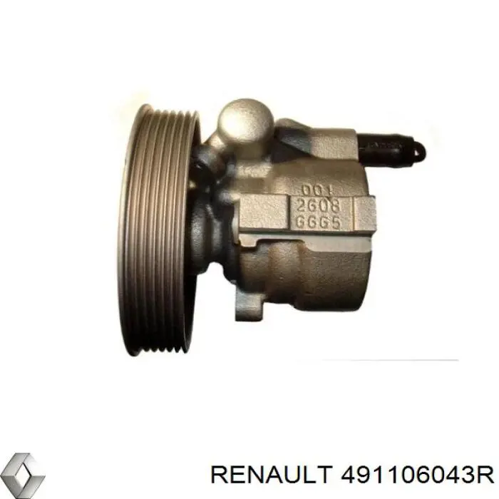 Насос ГУР 491106043R Renault (RVI)