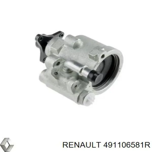 491106581R Renault (RVI)
