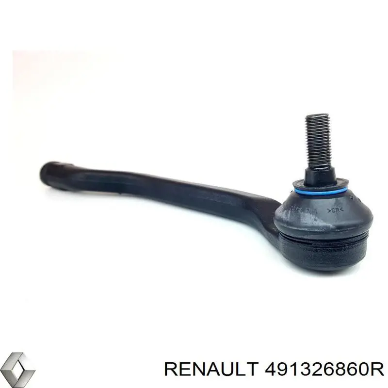 Шкив насоса гидроусилителя руля Renault (RVI) 491326860R